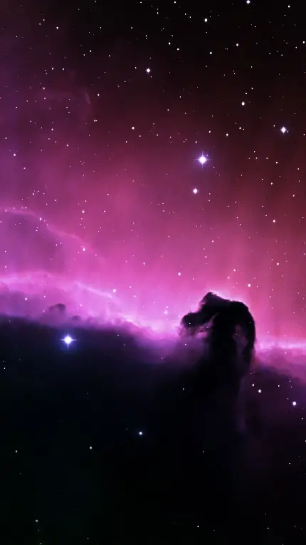 دانلود پوستر کلاژ رنگی از سحابی سر اسب مهم‌ترین سحابی کشف شدە تلسکوپ هابل