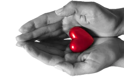 تصویر شاهکار و زیبا از قلب قرمز در دست برای پروفایل و پست 