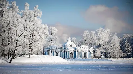  تصویر کاخ‌های زمستانی سن پترزبورگ در میان درختان