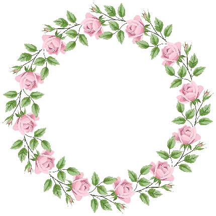 زیباترین عکس گل رز قرمز