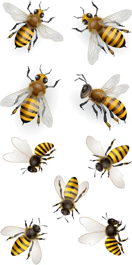 والپیپر زیبا با طرح دیجیتالی زنبور های عسل مخصوص گوشی اندروید 