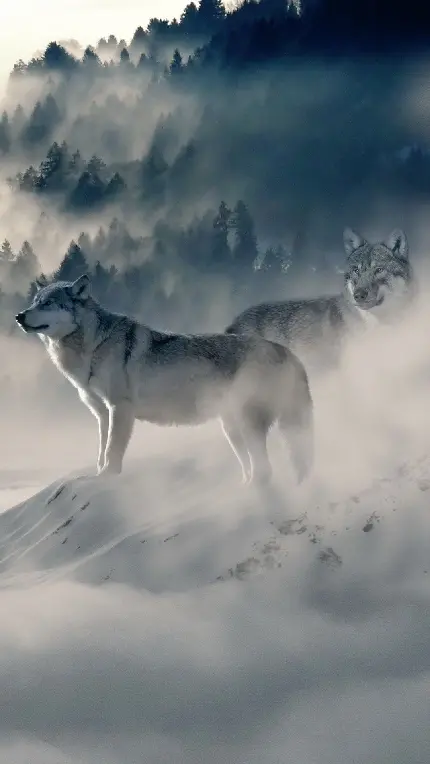 عکس پروفایل جذاب از گرگ وحشی در هوای مه آلود زمستان