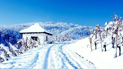 والپیپر محشر از خانه در ارتفاعات برفی زیر آسمان آبی 