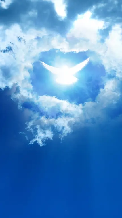 پوستری مشهور از کبوتر سفید مقابل نور خورشید در محاصر‌ه‌ی ابرهای آسمان آبی
