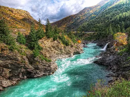 رودخانه آبی و پرطراوت در طبیعت نیوزیلند در یک قاب هنری 