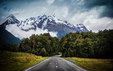 پس زمینه از جاده زیبا و چشم نواز در دل طبیعت نیوزیلند