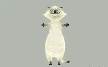 تصویر انیمیشنی کیوت از گربه ایستاده برای بک گراند 