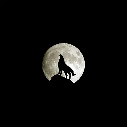 مشهورترین تصویر از گرگی مشکی در مقابل ماە شب چهاردە