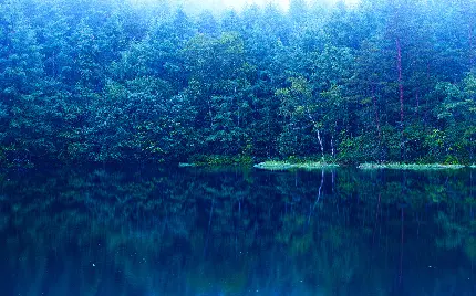 والپیپر Nature Widescreen از انعکاس زیبای جنگل در دریاچه برای ویندوز 