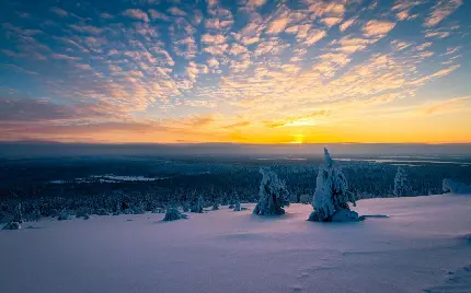 والپیپر چشم نواز از طلوع خورشید در دل طبیعت سرد برفی 