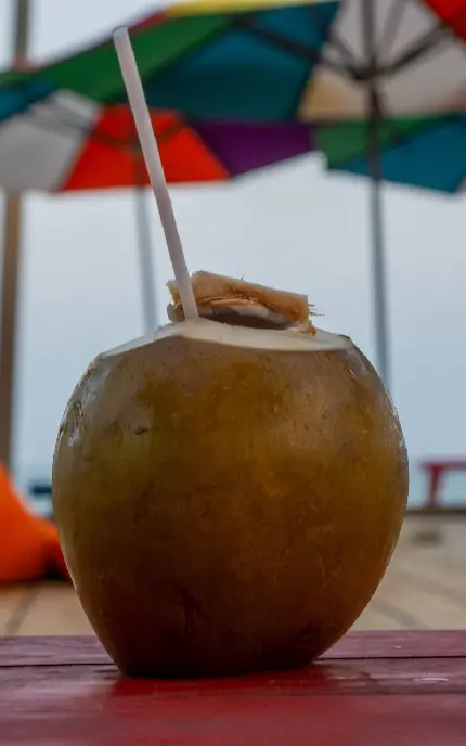 تصویر دیدنی از نوشیدنی خوشمزه در پوسته نارگیل با کیفیت اصلی