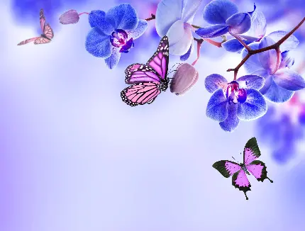 تصویر گل ارکیده بنفش و پروانه های پر نقش و نگار حیرت انگیز