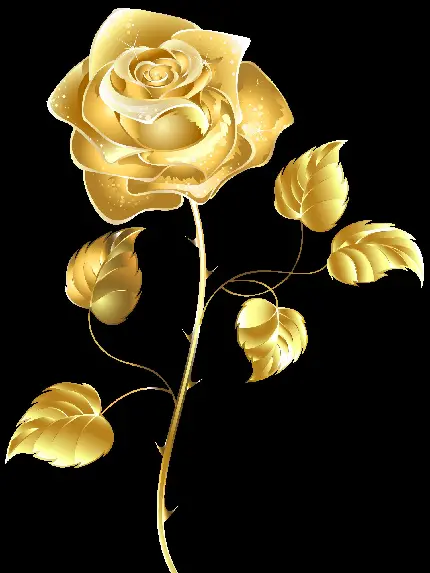 خالص‌ترین پوستر از گل رز طلایی تیغ دار باکیفیت hd 