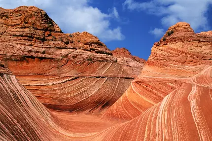 تصویر باکیفیت فول از صخره‌های موجی در بیابان آریزونا مناسب گوشی