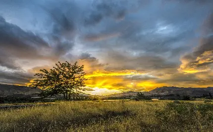 عکس زمینه آرامش بخش از آسمان غروب در دل طبیعت بکر