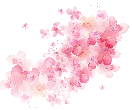 پرطرفدار ترین عکس زمینه گل صورتی ملیح با کیفیت 8K 