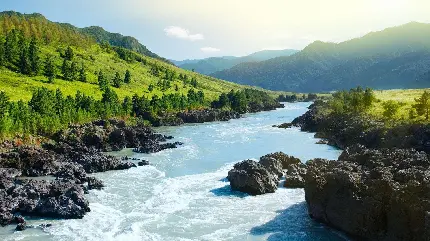 دانلود تصویر زمینه 8K تماشایی از طبیعت سبز سیبری