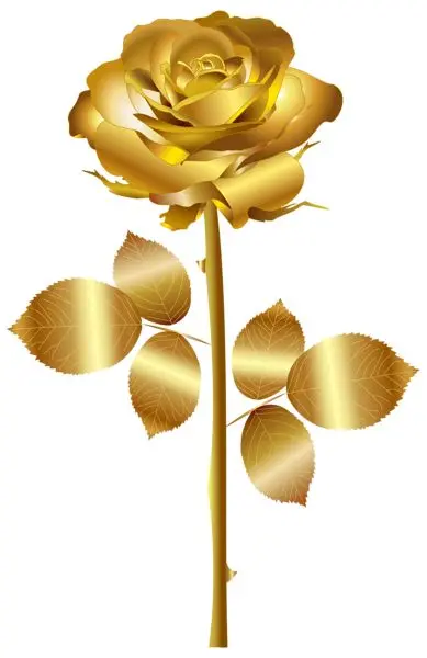 پوستر چشم نواز از گل طلایی قشنگ باکیفیت HD