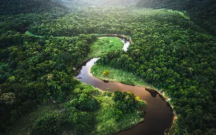 دانلود تصویر کم نظیر از مسیر پیچ در پیچ و گیاە‌دار رودخانه آمازون باکیفیت hd