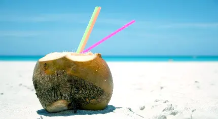 عکس زمینه جالب توجه نوشیدنی خنک با طعم نارگیل در ساحل زیبا برای دسکتاپ