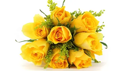 نمای جالب از دسته گل رز زرد با زمینه سفید با کیفیت خوب 