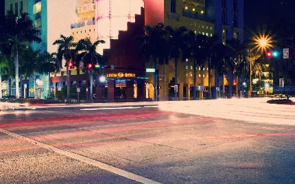 تصویر استوک و جمیل با نخل‌هایی در اطراف جاده شهری با خطوط قرمز رنگ