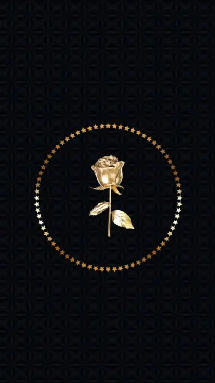پوستر گل رز طلایی کوچک و ناز با دایرە‌ای ستارە‌ای اطرافش در زمینە مشکی