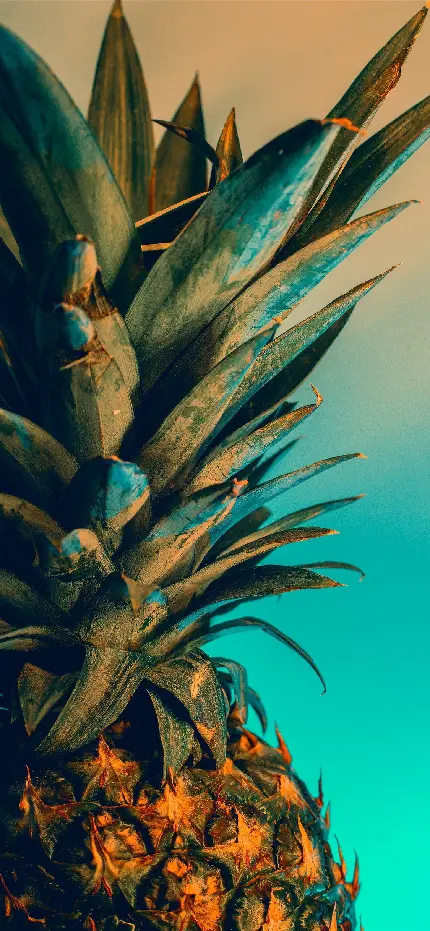 والپیپر میوه تابستانی آناناس با کیفیت 4k برای زمینه گوشی