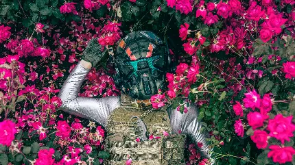 والپیپر ژست عکاسی جنگجو با گل های صورتی 11K برای کامپیوتر
