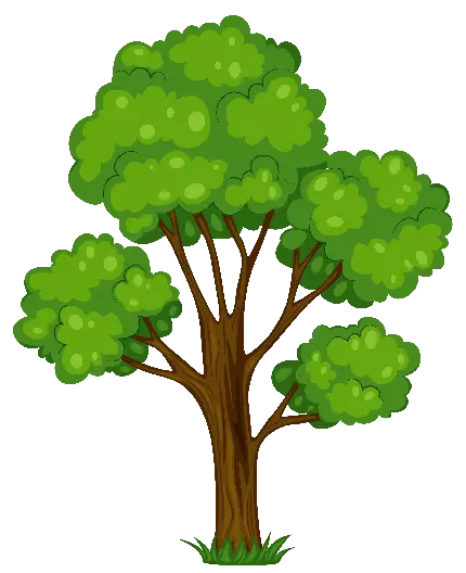 عکس درخت کارتونی سبز و سرزنده مخصوص فتوشاپ 