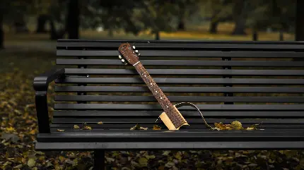 زمینە باکیفیت برای والپیپر 4k از نیمکت مشکی رنگ پارک با دستە‌ی ساز گیتار شکستە رویش