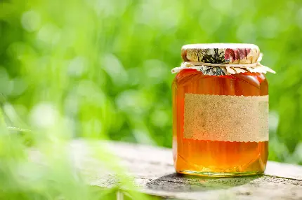 جدید ترین تصویر عسل طبیعی برای تبلیغات در اینستاگرام 