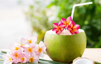 بک گراند و زیبا و هنری از نوشیدنی خنک نارگیل سبز در کنار گل های خوشرنگ برای والپیپر ویندوز 11