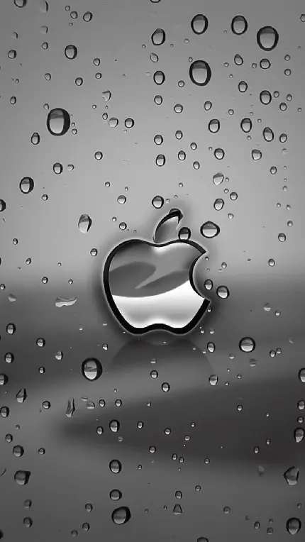 پوستر جذاب آرم اپل در فضایی بارانی و ضد آب