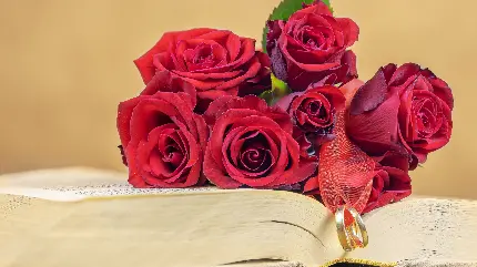دانلود عکس استوک 2 حلقە ازدواج و دستە گلی قرمز عروس میان کتابی مناسب ویندوز