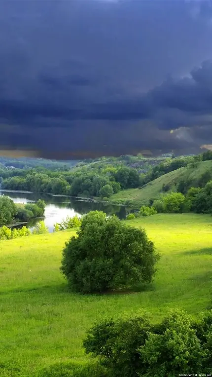 زیبا ترین عکس زمینه طبیعت سرسبز برای سامسونگ 