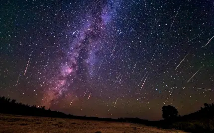 نمای خارق العاده از بارش شهاب سنگ در آسمان شبانگاهی