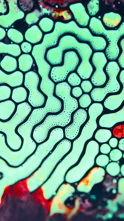 تصویر زمینه میکروسکوپی سبز آبی HD برای گوشی آیفون ۱۳ مینی