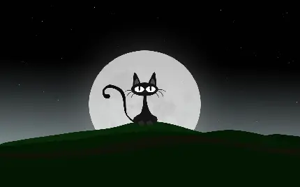 عکس دیجیتالی پردانلود با طرح گربه در شب مهتابی