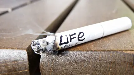 تصویر زمینە پر شور خاص موبایل از دود سیگاری با نوشتە انگلیسی Life در لبەی نیمکت چوبی