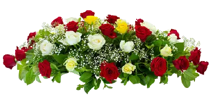 عکس دسته گل خوشگل رز با تم رنگی شاهکار برای اینشات PNG دوربری شده