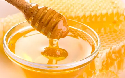 با کیفیت ترین عکس عسل از زاویه نزدیک مناسب فروش اینستاگرام