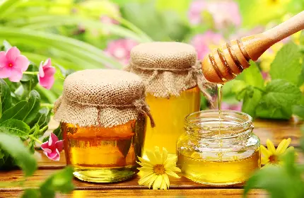 عسل های خوشرنگ و طبیعی در طبیعت چشم نواز در یک نمای هنری