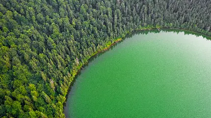 بک گراند دریاچه براق سبز آبی 12K رایگان برای لپ تاپ 