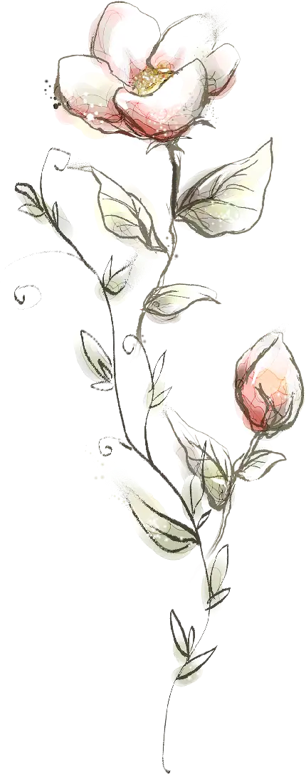 وکتور بی نظیر گل نقاشی شده با زمینه خالی برای فتوشاپ 