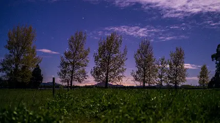 تصویر زمینه تحسین برانگیز از طبیعت با تم رنگی زیبا 