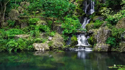 والپیپر محبوب از طبیعت سرسبز اطراف آبشار 