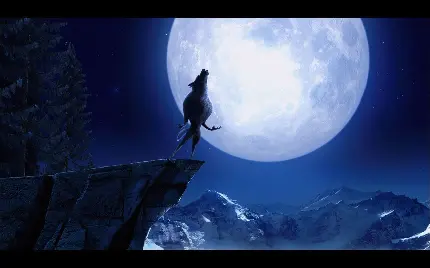 تصویر زمینه بسیار عجیب از گرگ ایستاده در امتداد ماه با کیفیت ویژه 