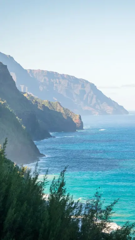 عکس استوک مە گرفتە از اقیانوس و کوه در جوار همدیگر با درختان سبز و بلند رنگ