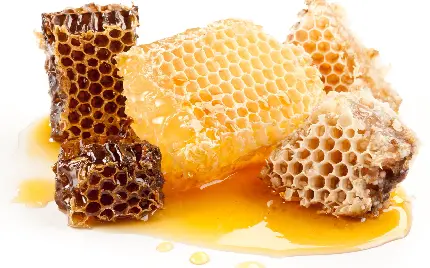 دانلود عکس جالب و جدید از موم عسل با طیف رنگی متنوع 